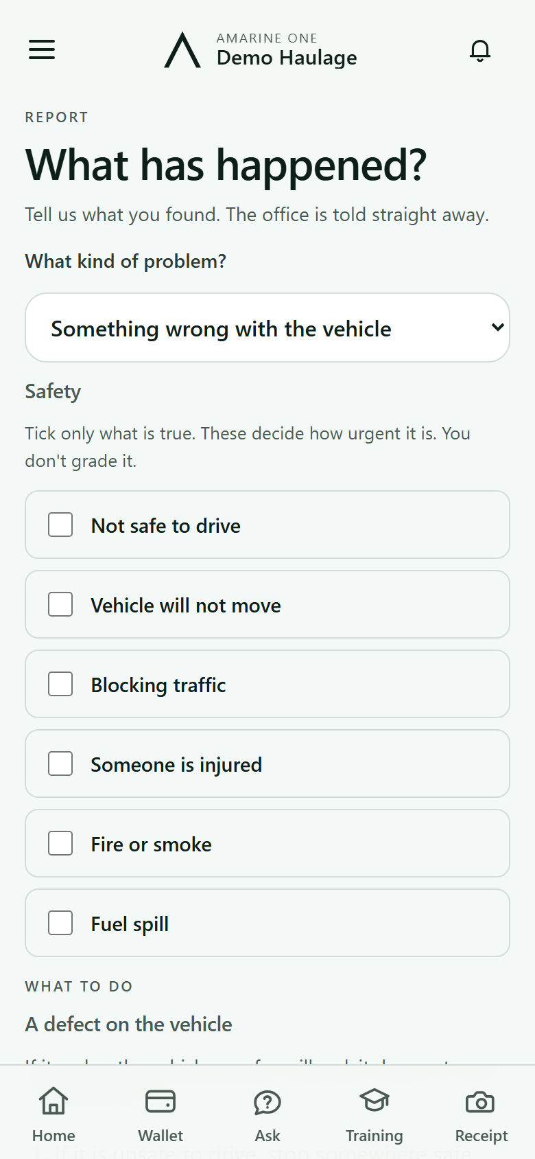 Report an issue: the kind of problem, the safety boxes, and the company's procedure